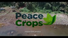 The Evolution of Peace Crops