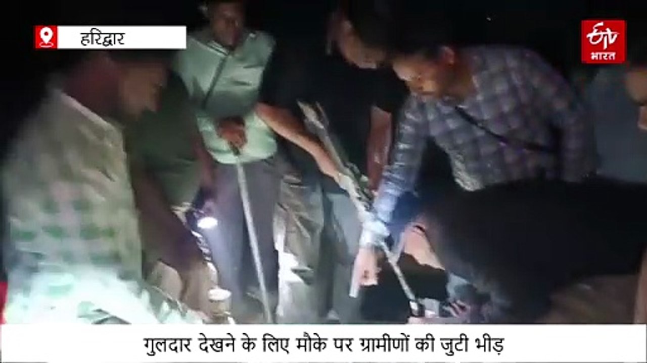 हरिद्वार भारापुर भौंरी में 15 फीट गहरे बोरवेल के गड्ढे में गिरा गुलदार, वन विभाग ने ट्रेंकुलाइज कर किया रेस्क्यू