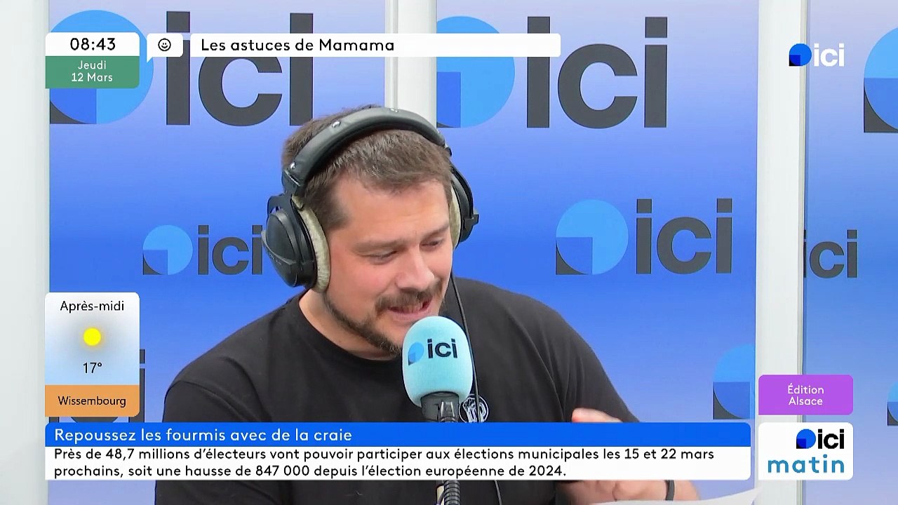 Les astuces de Mamama 12/03 : repousser les fourmis