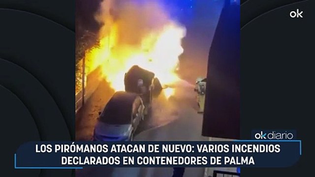 Los pirómanos atacan de nuevo: varios incendios declarados en contenedores de Palma