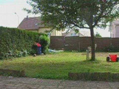 Coubiack en Blade CX - Tuning Heli4.com 2008