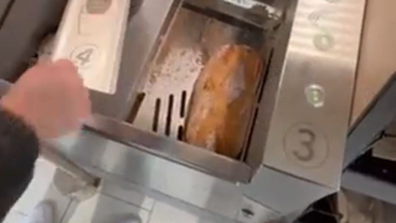 Mesmerizing Process: Bread Cutter Transforms a Loaf into Uniform Slices