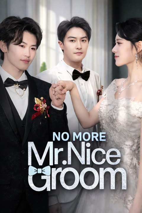 No More Mr. Nice Groom  Secret Identity & Sweet Revenge Romance