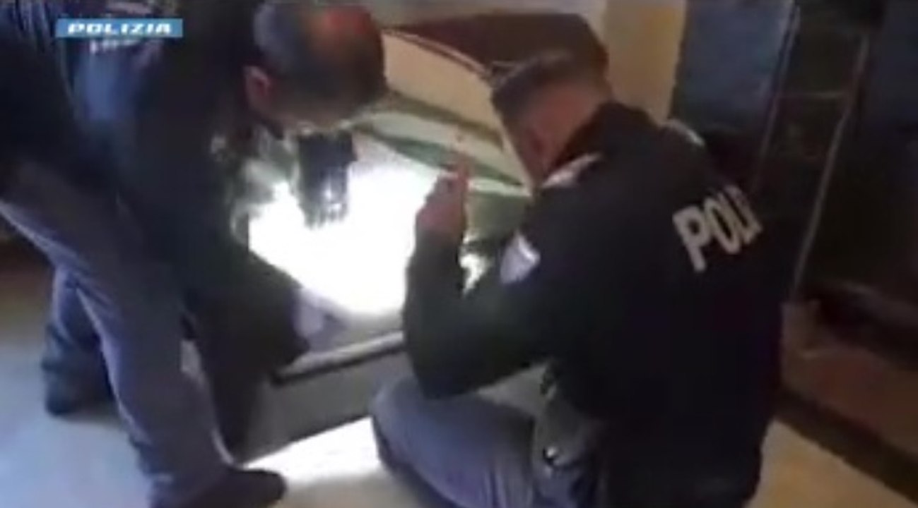 Lamezia Terme (CZ) - Traffico di droga tra città e costa: 21 indagati in operazione "Pullo" (12.03.26)