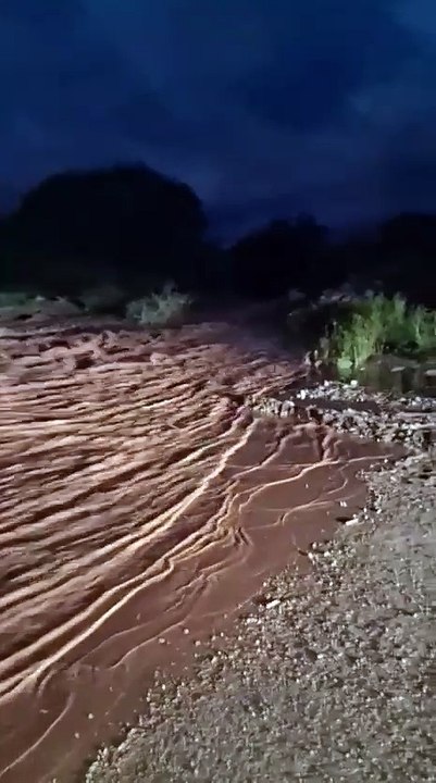 whatsapp video 2026-03-12 at 07.22.57.mp4