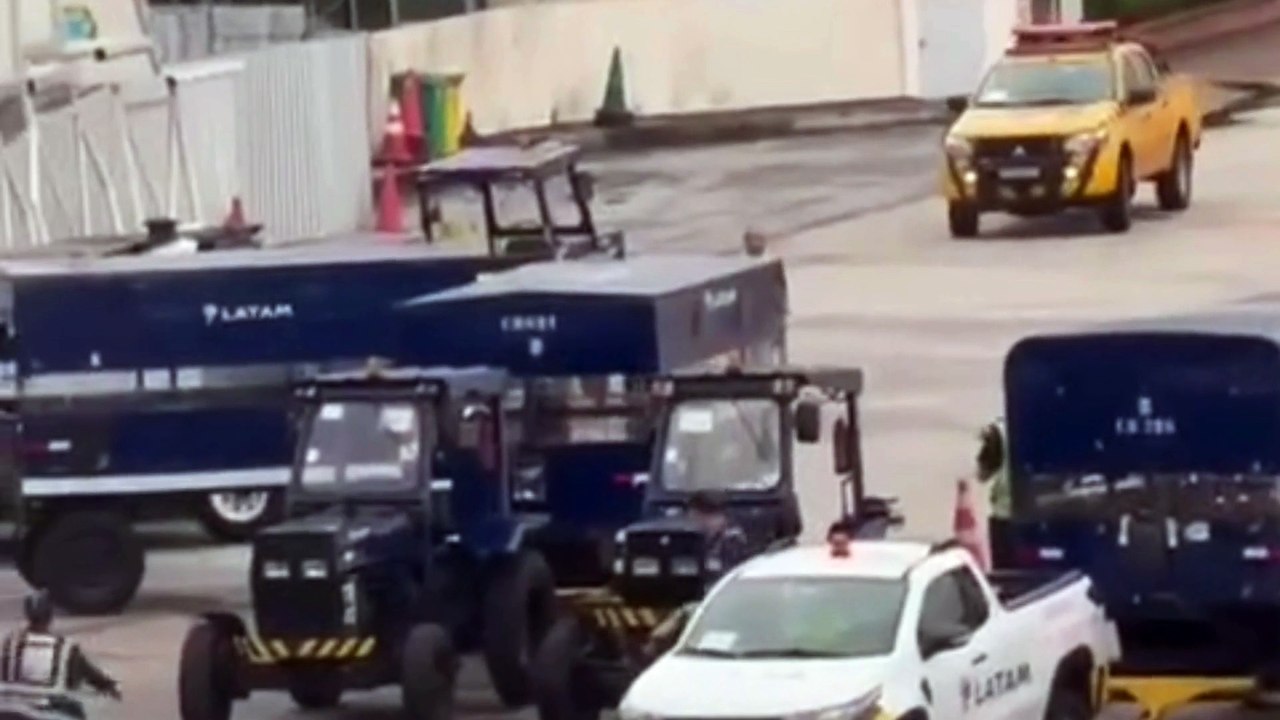 Cachorrinha escapa da caixa de transporte e provoca suspensão de voos em Congonhas; veja vídeo