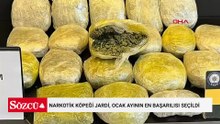 Narkotik köpeği Jardi, ocak ayının en başarılısı seçildi