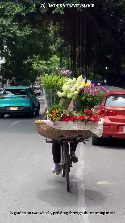 A garden on two wheels, pedaling through the morning mist.