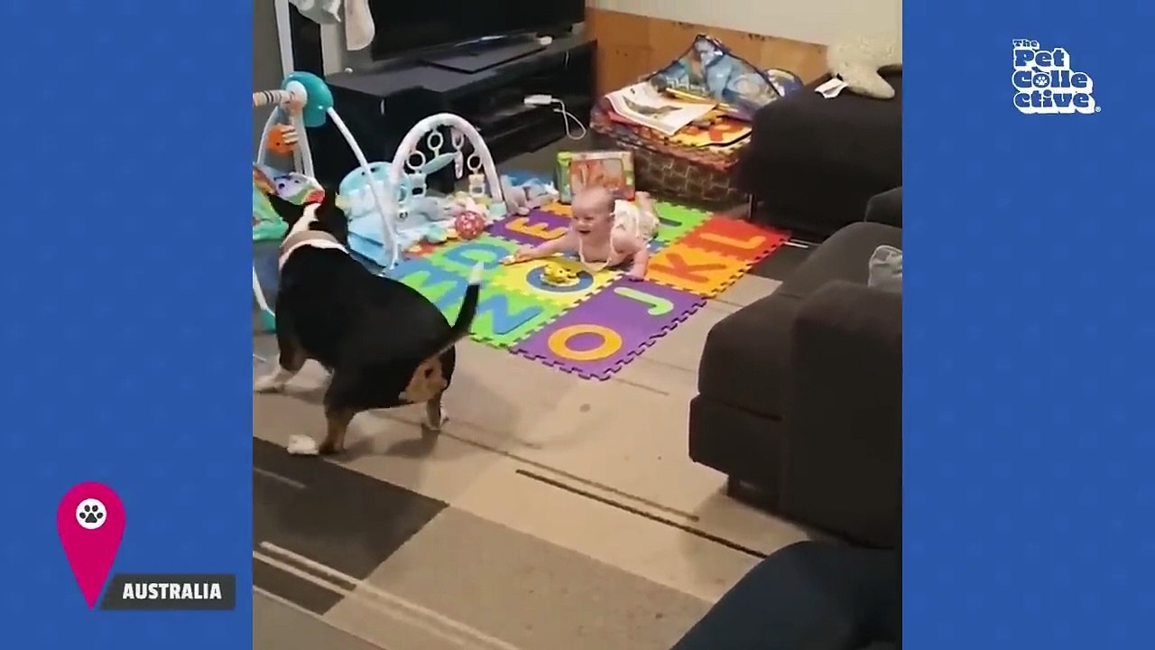 Hilarious Baby Fails of the Week 🤣 | Funny Baby Moments 2026