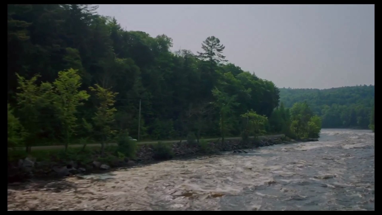 Veins Trailer OmeU
