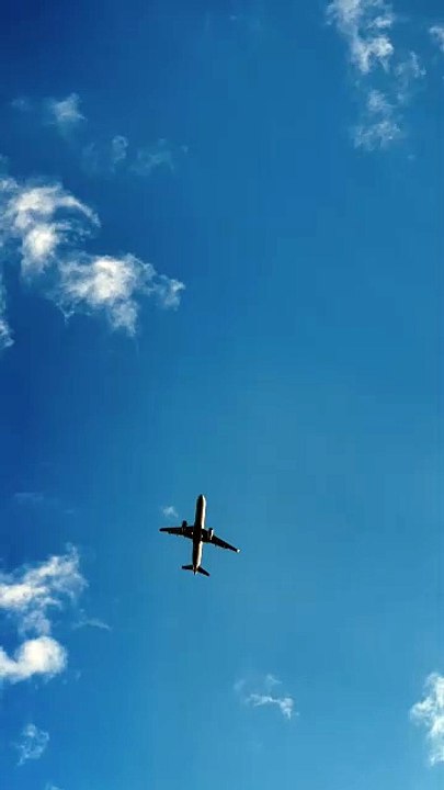 Airplane Flying in Clear Sky