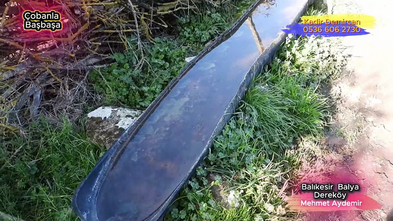 Çobanla Başbaşa 1. Bölüm  Balıkesir Balya Dereköy Koyun Çobanı Mehmet Aydemir  0535 279 8885