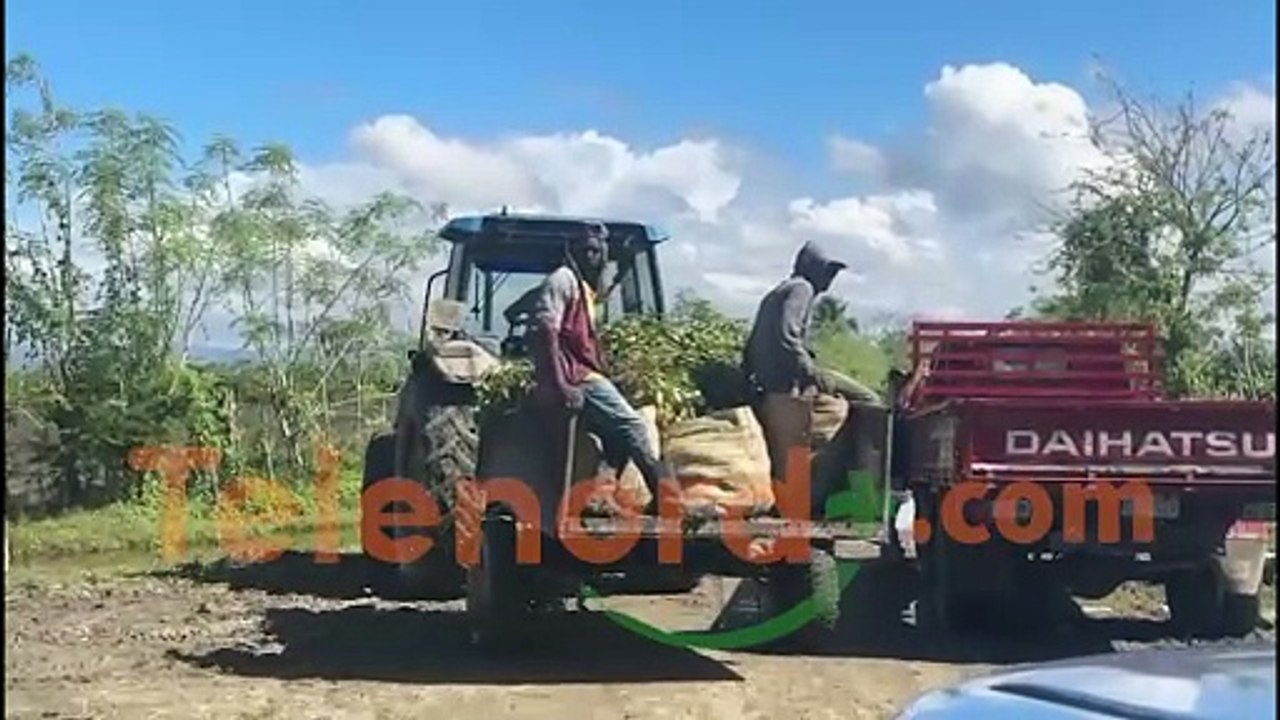 Entre lodo y tractores: productores luchan para sacar sus cosechas en Aguayo