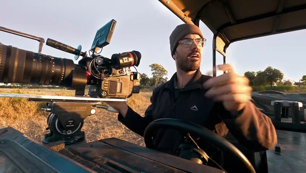 Big Cats 24/7 S2E6 | Next Generation of Lions, Leopards & Cheetahs Rise