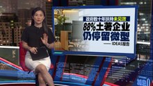 政府数十年扶持未见突破   IDEAS报告: 88%土著企业仍停留微型
