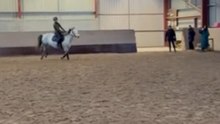 Girl Falls Off Horse After It Stops Short Before Jump During Riding Lesson