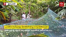 പ്രതിസന്ധികളെ അതിജീവിച്ച് നേട്ടത്തിലേക്ക്: ഏലം കൃഷിയിൽ ഇടുക്കിക്കാരന് ദേശീയ അംഗീകാരം