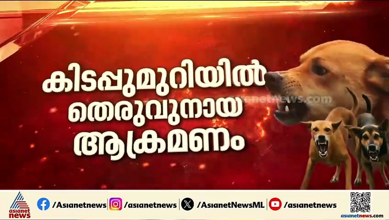 കിടപ്പുരോഗിയായ വയോധികയെ തെരുവുനായ കടിച്ചു കൊന്ന...