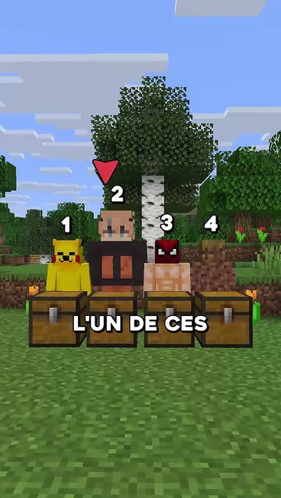 Tu choisis lequel ?