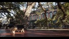 Lady And The Tramp - Trailer