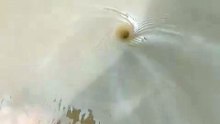 Amazing Tiny Underwater Vortex Captured on Camera!
