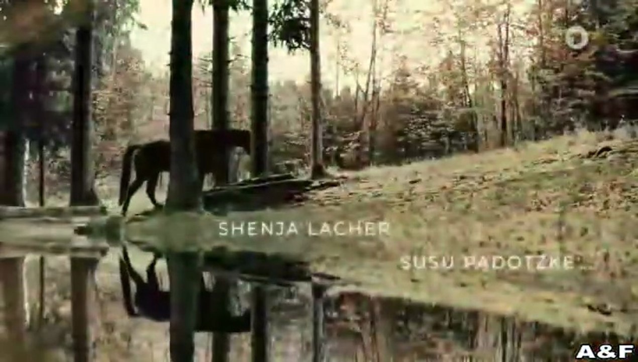 Reiterhof Wildenstein -04- Der Junge und das Pferd