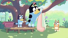 Bluey Episode 15 Complet | Butterflies | Bluey Season 1