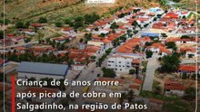Criança de 6 anos morre após picada de cobra em Salgadinho, na região de Patos