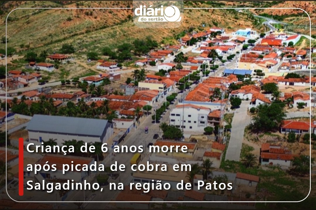 Criança de 6 anos morre após picada de cobra em Salgadinho, na região de Patos