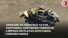 Derrame en Veracruz ya fue contenido; continúan tareas de limpieza en playas afectadas, asegura Nahle