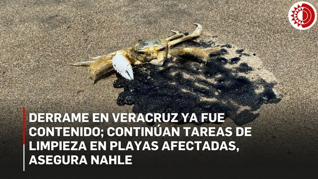 Derrame en Veracruz ya fue contenido; continúan tareas de limpieza en playas afectadas, asegura Nahle
