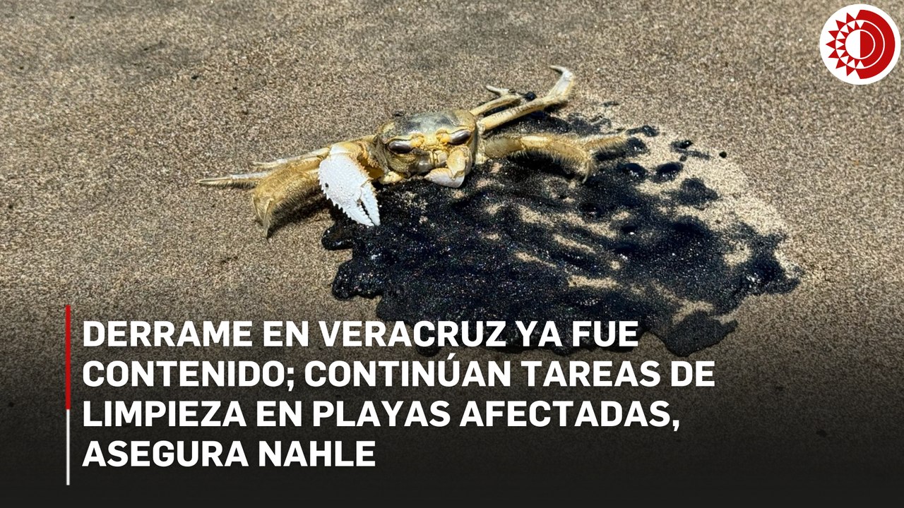 Derrame en Veracruz ya fue contenido; continúan tareas de limpieza en playas afectadas, asegura Nahle