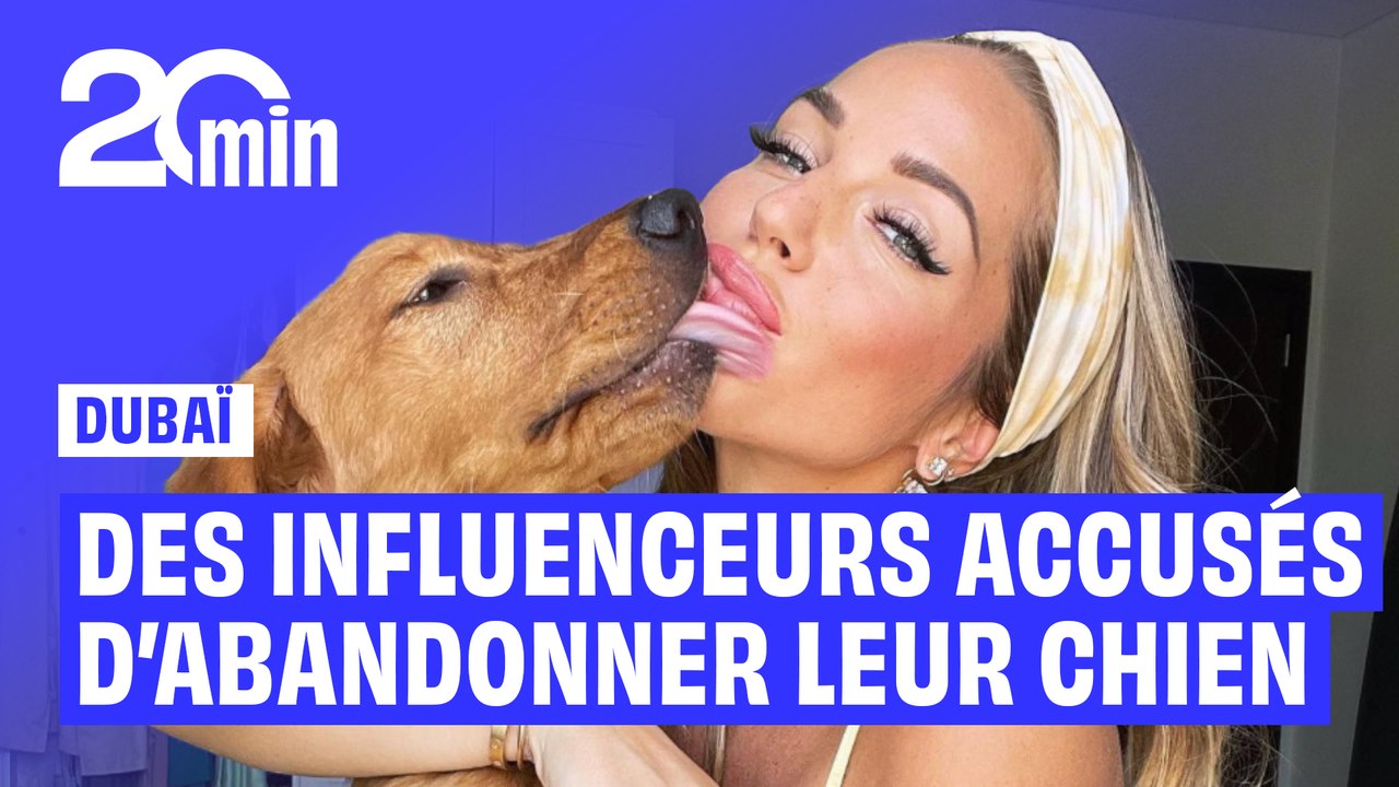 Des influenceurs et expatriés accusés d’abandonner leurs animaux en fuyant Dubaï