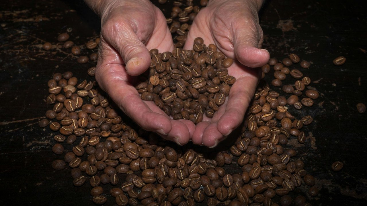 El cambio climático amenaza al café: más calor, menos producción y precios al alza