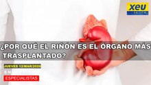 ¿Por qué el riñón el órgano más trasplantado?