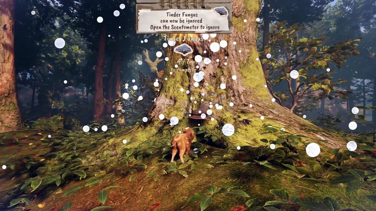 Adorable Adventures - Trailer date de sortie