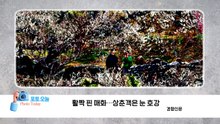 [포토오늘] 활짝 핀 매화...상춘객은 눈 호강 / YTN