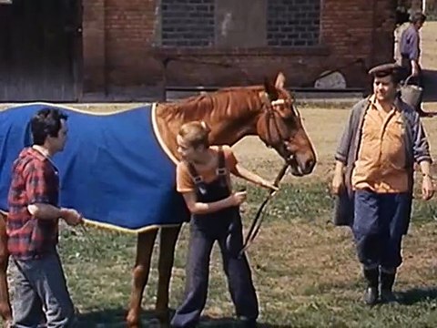 Immer wieder Abschied (Folge 7) | Jockei Monika (1981)