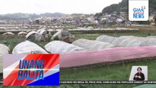 Bilang ng mga turistang dumarating sa La Trinidad, Benguet, bumaba kasunod ng mega oil price hike | Unang Balita