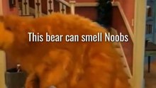 This bear 🐻 can smell noobs