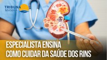 Especialista ensina como cuidar da saúde dos rins