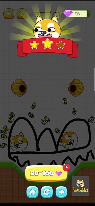 Save The Pets Level 12