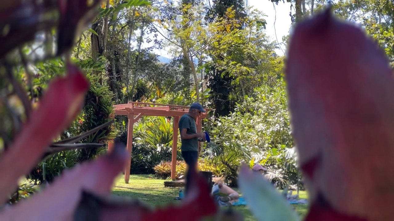 mqn-Cartago: Entre senderos y flores exóticas, existe un lugar donde la ciencia y la naturaleza se encuentran-120326