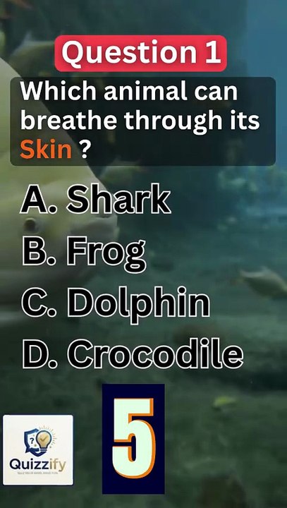 Can you pass this 3-level IQ Test? 🧠#shorts #QuizTime #GeneralKnowledge #TriviaChallenge #D#shorts #english #mindbendingquiz #quiz #generalknowledge #iqtest #mindbendingquiz #quiz #iqtest #iqtest #testandlearn #shorts #shortvideo #shortsfeed #shortsvideo