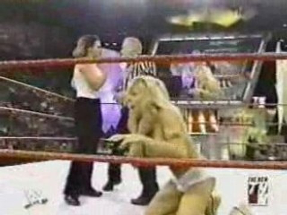 Terri Runnels vs Molly Holly_xvid