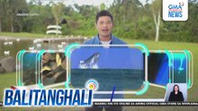 "Amazing Earth," magbabalik-telebisyon; mapapanood tuwing Sabado pagkatapos ng 24 Oras Weekend | Balitanghali