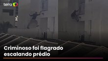 Homem-Aranha: criminoso escala prédio para roubar residência e é preso em SP