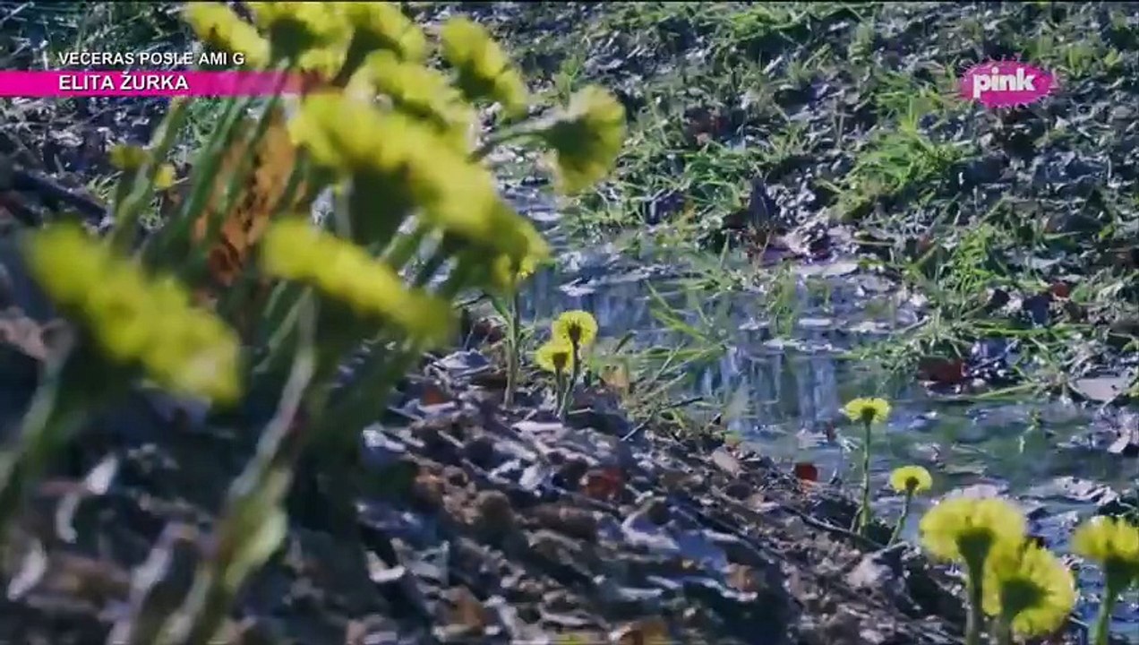 Serija dbacena 8 epizoda