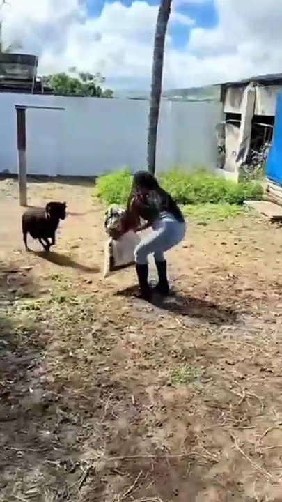 HÉCTORBAGGIO funny video