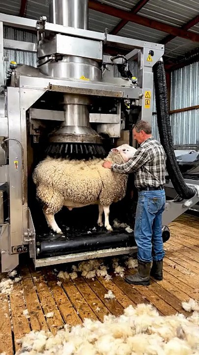 A_huge_machine #amazing animals love (4)